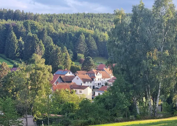 Superior - Ferienhaus Am Engelsbach Im Thueringer Wald